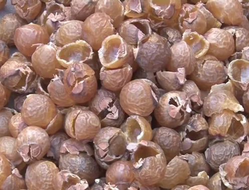 Wholesale - Soap Nut Shells - 20Kg